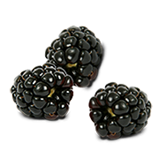 Black Raspberries