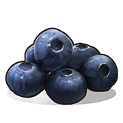 Blueberries