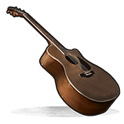 Acoustic Guitar