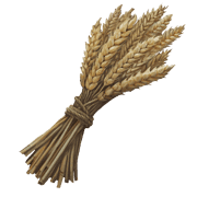 Wheat