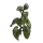 Sunflower Clone