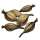 Orchid Seed