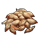 Rose Seed