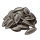Sunflower Seed