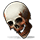 Human Skull