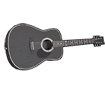 Black Acoustic Guitar