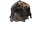 Toupee