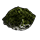 Mossy Fossil