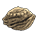 Sharptooth