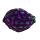 Blackberry Rock