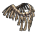 Bone Armor Poncho