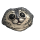 Harbor Seal Rock
