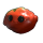 Señor Tomato