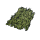Jungle Ivy