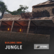 Jungle